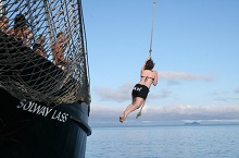 Solway Lass, Iles Whitsundays, Queensland, Australie